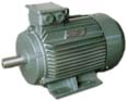 Y2系列 三相異步電動(dòng)機(jī)