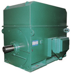 YTM、YHP、YMPS系列6KV磨煤機(jī)用電動(dòng)機(jī)