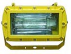 BFC8100防爆外場強光泛光燈