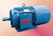 皖南 YZC系列低振動(dòng)低噪聲三相異步電動(dòng)機(jī)