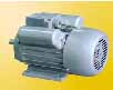 皖南 YL系列雙值電容異步電動(dòng)機(jī)