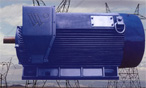 萬高 YJK系列6KV、IP44（IP54）高壓電機(jī)