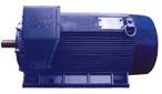 萬(wàn)高 YJK系列10KV、IP44（IP54）高壓電機(jī)