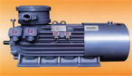 萬高 YB355-450隔爆型高壓三相異步電動機(jī)