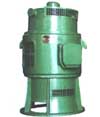 東方 JSL系列立式三相鼠籠型異步電動(dòng)機(jī)