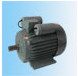 盟利電機(jī) YL系列雙值電容異步電動(dòng)機(jī)