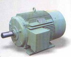 柳州佳力 Y2系列三相異步電動(dòng)機(jī)