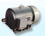 柳州佳力 YWG系列三相異步電動(dòng)機(jī)
