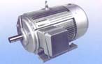 永發(fā) Y系列（IP44）三相異步電動機(jī)