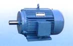 永發(fā)機(jī)電 YDT系列（IP44）風(fēng)機(jī)、泵用變極多速三相異步電動(dòng)機(jī)