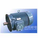 興瑪 SZY系列注塑機(jī)專用三相異步電動機(jī)