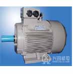 興瑪 NEMA系列三相異步電動機(jī)