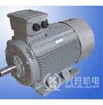 興瑪 Y2系列（IP54）三相異步電動機(jī)