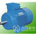興瑪 YLY系列糧油機(jī)械三相異步電動機(jī)