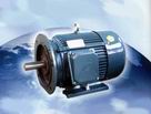 新微電機(jī) YC（CO2）系列單相電容起動(dòng)異步電動(dòng)機(jī)