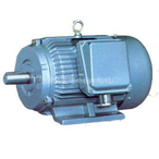 Y-H系列船用三相異步電動(dòng)機(jī)
