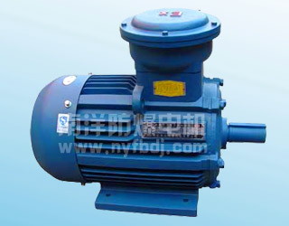 YB2-W、TH、WTH系列隔爆型三相異步電動機(jī)