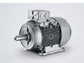 西門子 1LE1、1LA7、1LA9、1LG4、1LG6 系列低壓交流電機(jī)