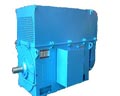 臥龍電氣 YKK、YKS系列中型高壓三相異步電動(dòng)機(jī)