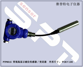 賽普特電子 PTP601S帶現(xiàn)場(chǎng)顯示投入式液位傳感器 