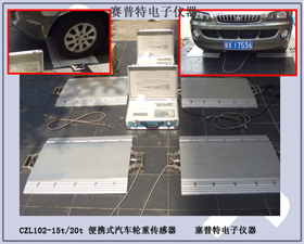 賽普特電子 CZL102B便攜式汽動態(tài)稱重系統 