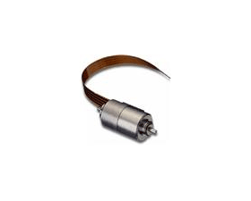 Portescap 渦輪盤(pán)步進(jìn)電機(jī) P010